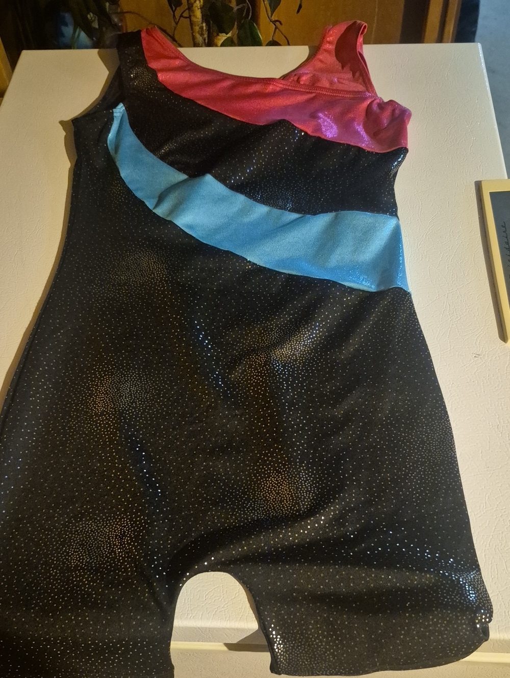 Girls' Black Sparkle Gymnastics Leotard with Pink and Blue Accents